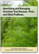 Identifying and Managing Christmas Tree Diseases, Pests, and Other Problems