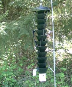 Lindgren funnel trap. (Photo courtesy of Oregon Department of Agriculture.)