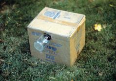 Trap for Douglas-fir needle midges. (Photo by Jack DeAngelis, Living with Bugs.)